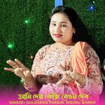 Ami Der Keji Bagun Dibo