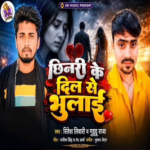 Chhinari Ke Dil Se Bhulai