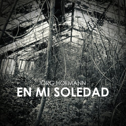 En Mi Soledad cover art