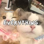 Everything