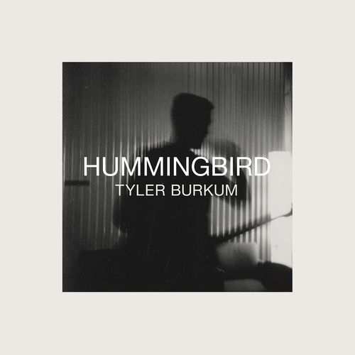 Hummingbird_poster_image