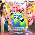 NAIKHE PICHKARI ME DAM