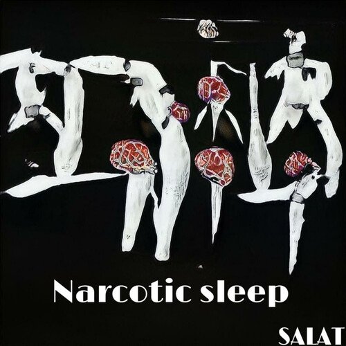 Narcotic Sleep