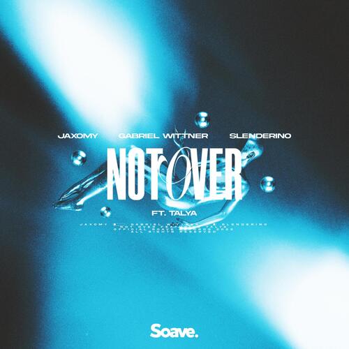 Not Over (feat. TALYA)_poster_image