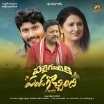 Palle Gootiki Pandagocchindi