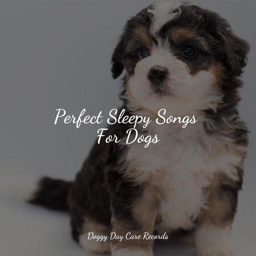 Meditating Music cover art