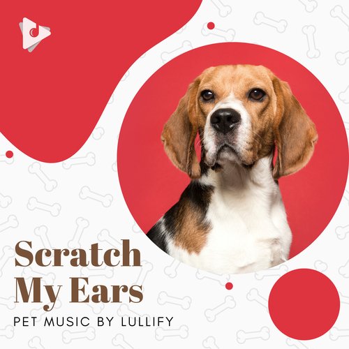 Pet Me More cover art