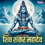 Shiv Shankar Mahadev