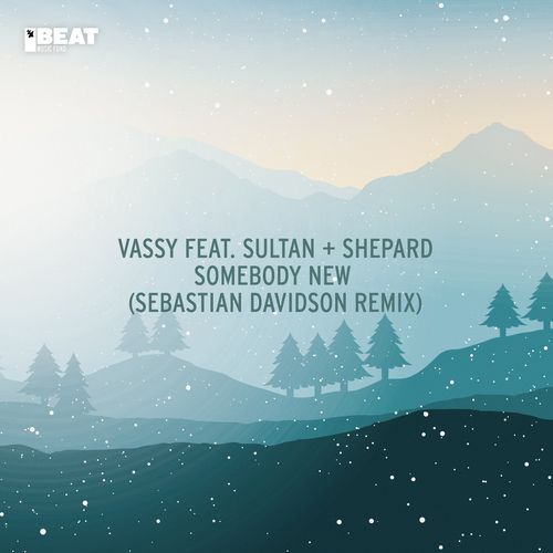 Somebody New (Sebastian Davidson Remix)