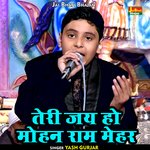 Teri jai ho mohan ram mehar (Hindi)