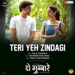 Teri Yeh Zindagi (From "Do Gubbare")