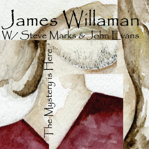The Past is Gone (feat. John Evans & Steve Marks) cover art