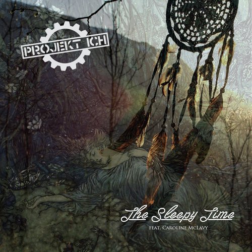 The Sleepy Time (Areal Kollen Remix) cover art