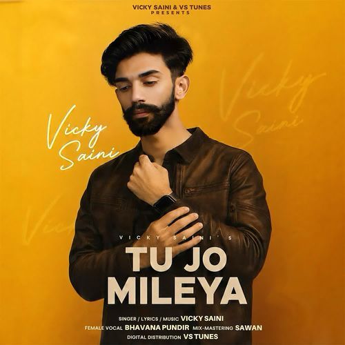 Tu Jo Mileya