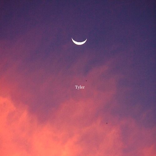 Tyler cover art