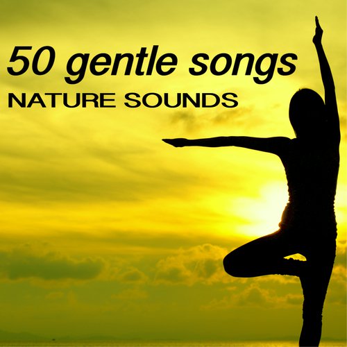 50 Gentle Songs - Beautiful Nature Sounds, Wellness & Spa Top Selection
