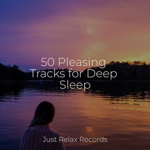 50 Pleasing Tracks for Deep Sleep_poster_image