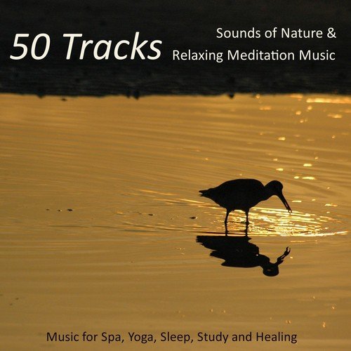 Relaxing Meditation Music
