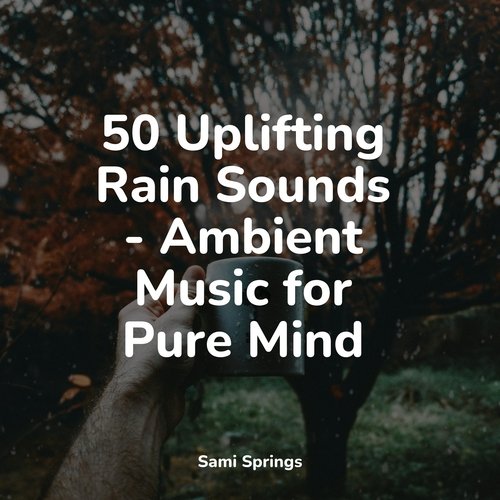 Rain, Storm and Thunder cover art