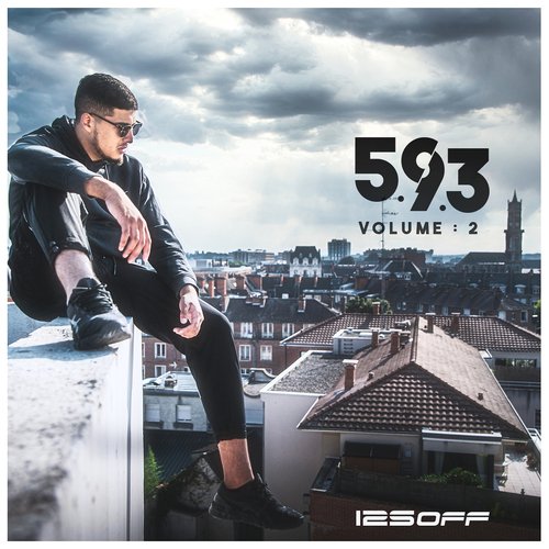 593, Vol. 2
