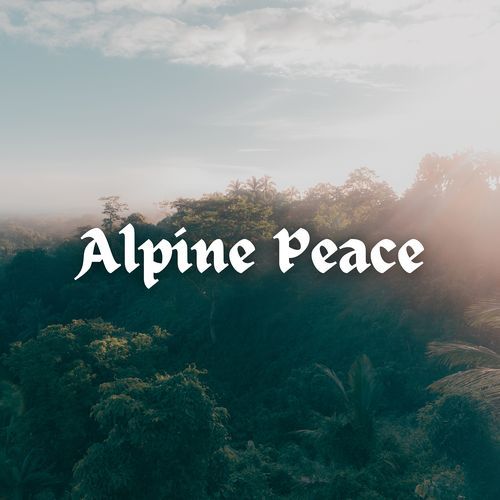 Night Silence cover art