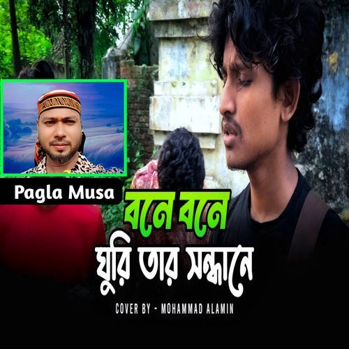 বনে বনে ঘুরি তার সন্ধানে