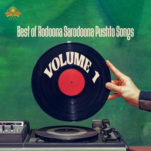 Best of Rodoona Sarodoona Pushto Songs, Vol. 1