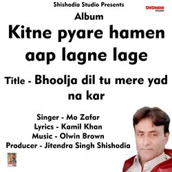 Bhoolja dil tu mere yad na kar (Hindi sad Song)-KgkAZkJ8TWE