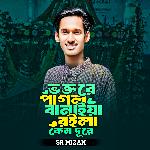 Boktere Pagol Banaiya Roila Keno Dure