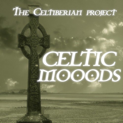 The Celtiberian Project