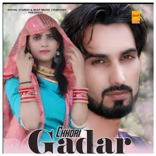 Chhori Gadar Mewati Haryanvi Song_poster_image