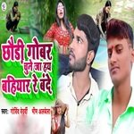 Chhori Gobar Chune Ja Hay Bahiyaar Re Bande