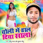 Choli Me Daal Diya Sala