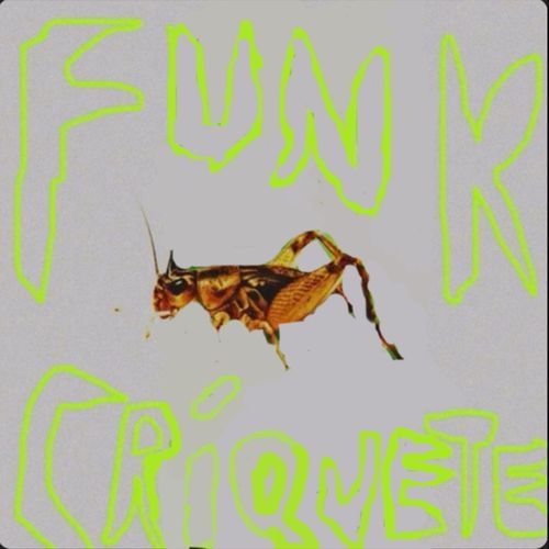 FUNK CRÍQUETE (Ultra Slowed)