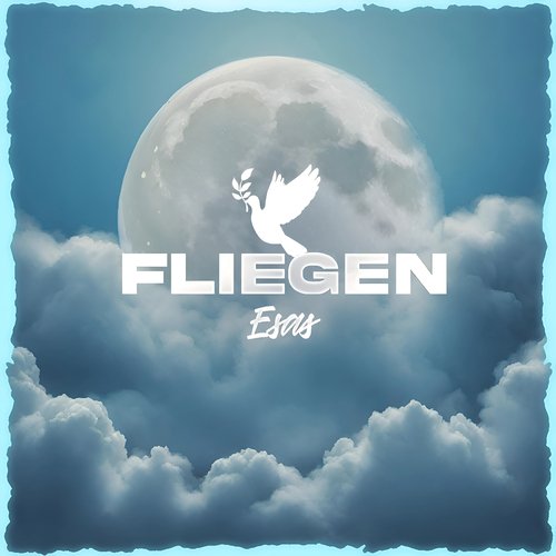 Fliegen_poster_image