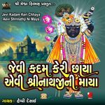 Jevi Kadam Keri Chhaya Aevi Shrinathji Ni Maya