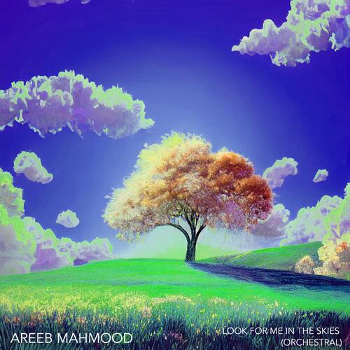 Look For Me In The Skies (Orchestral)_poster_image