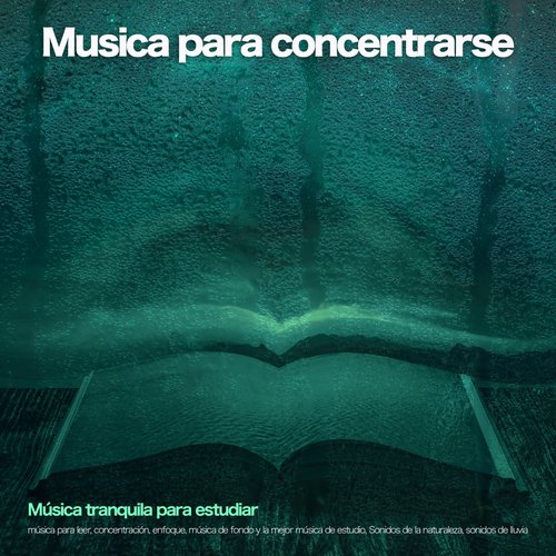 Sonidos de lluvia cover art