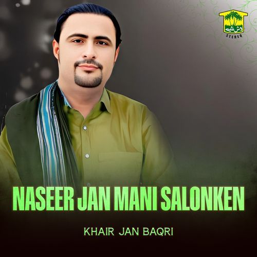 Naseer Jan Mani Salonken cover art