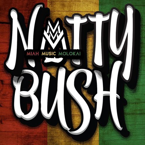 Natty Bush_poster_image