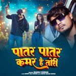 Paatar Paatar Kamar Hai Tori