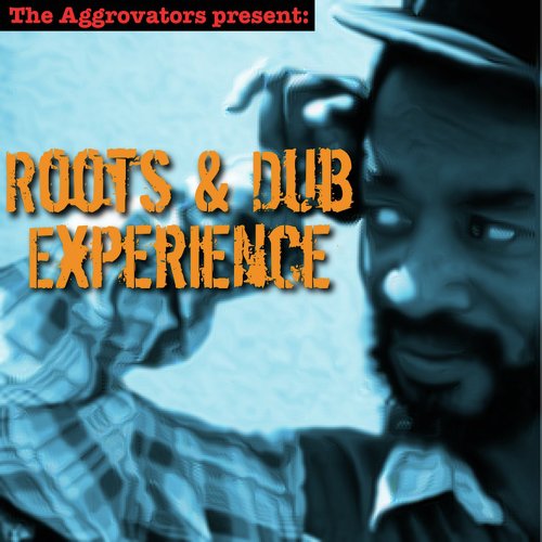 Roots & Dub Experience