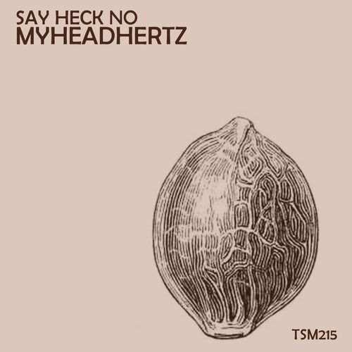 Say Heck No (Tin Foil Hat Massive Remix)