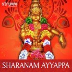 Sharanam Ayyappa