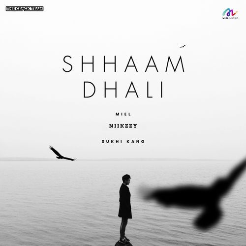 Shhaam Dhali-okv tunes