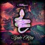 Djrrmo remix - Snake Ring (remix)