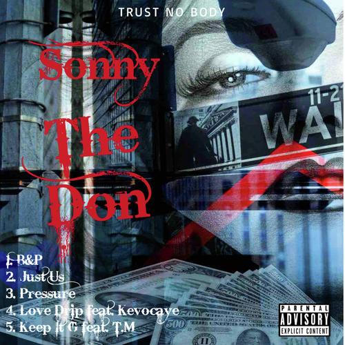 Sonny The Don_poster_image