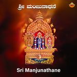 Sri Manjunathane artwork
