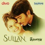 Kilu Kiluppaana II