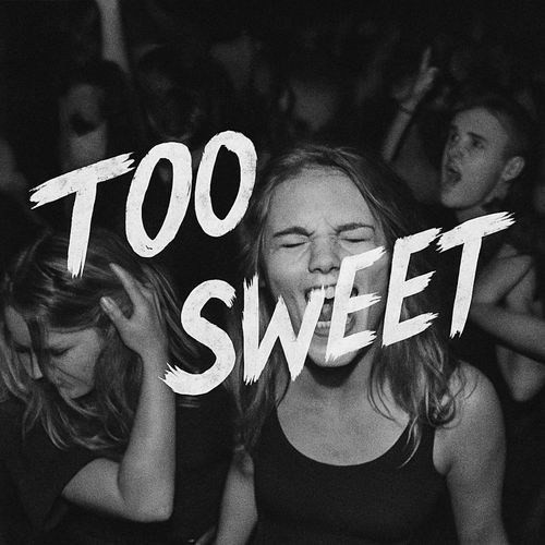 TOO SWEET (Dubstep)